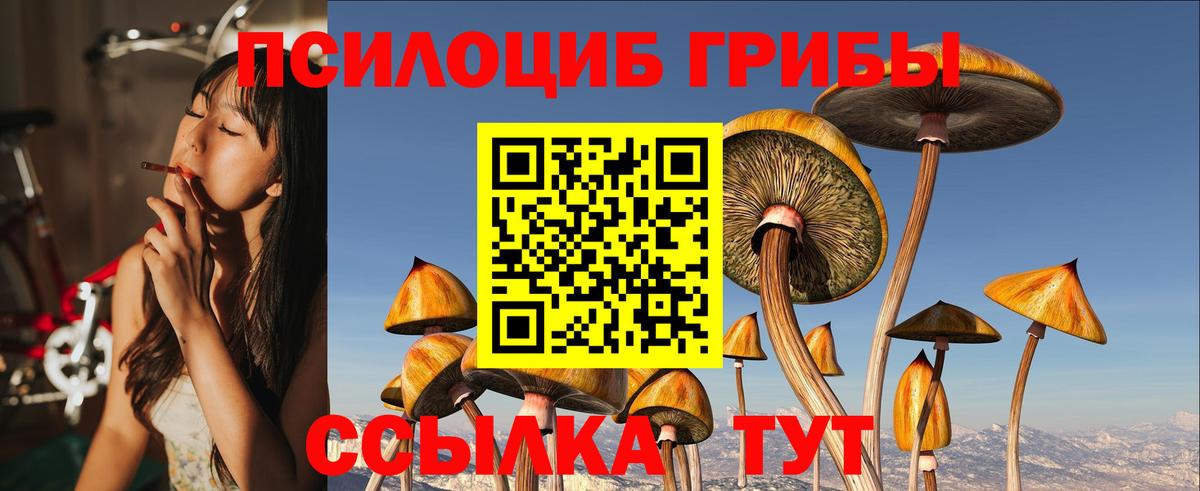 Псилоцибиновые грибы MAGIC MUSHROOMS  Вход с VPN  Псилоцибиновые грибы мицелий  Ипатово 